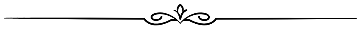 A black horizontal line with ornate scroll flourishes at the center, shown on a plain white background.